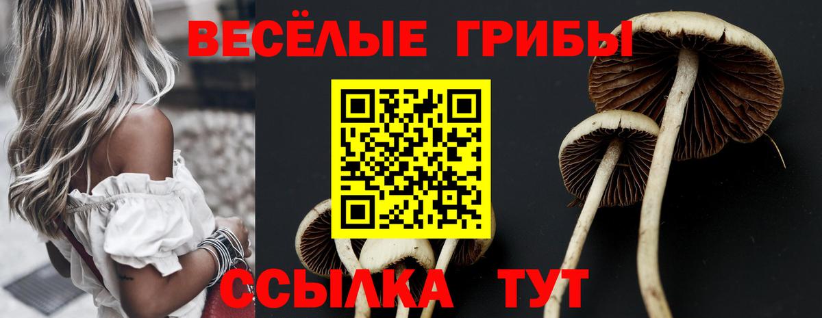 Псилоцибиновые грибы Cubensis Уссурийск